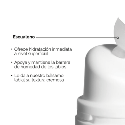 The Ordinary Balsamo Labial con Escualeno y Aminoacidos - 15 ml