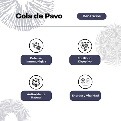 Extracto de Hongo Cola de Pavo - 30 mL - Farmacias Curie