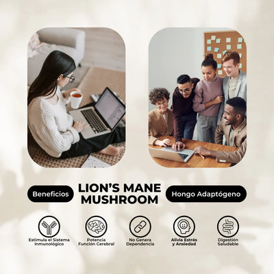 Extracto de Hongo Melena de León - 30 mL - Farmacias Curie