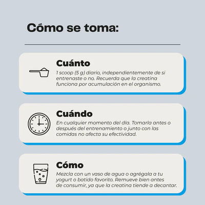 Creatina Monohidratada - 300 gramos - Farmacias Curie