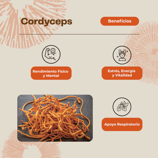 Hongo Cordyceps - 60 cápsulas - Farmacias Curie