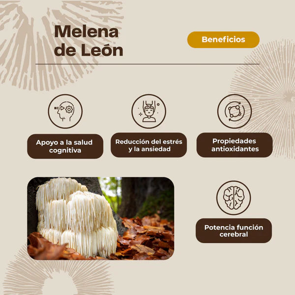 Hongo Melena de Leon + Vitamina C - 60 gomitas - Farmacias Curie