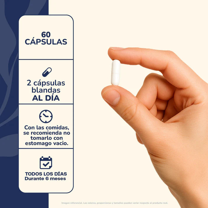 Omega 3 Plus 800/400 - 60 Cápsulas Blandas