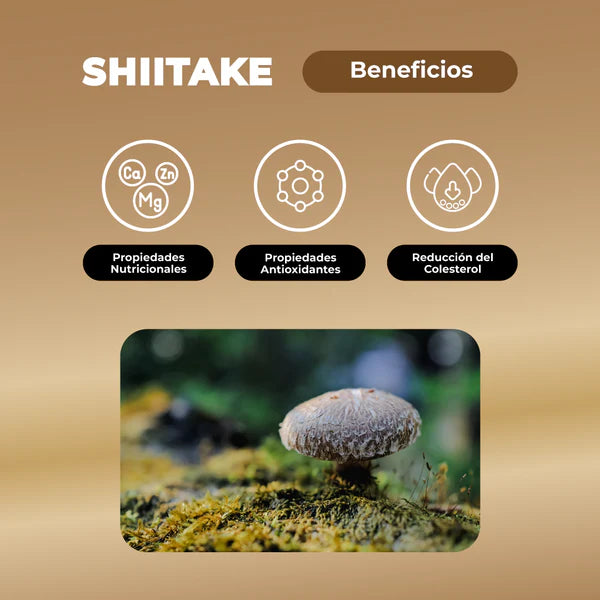 Hongo Shiitake - 60 Cápsulas - Farmacias Curie