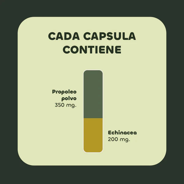 Echinacea+ Propóleo 550mg - 60 Cápsulas - Farmacias Curie
