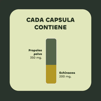 Echinacea+ Propóleo 550mg - 60 Cápsulas - Farmacias Curie
