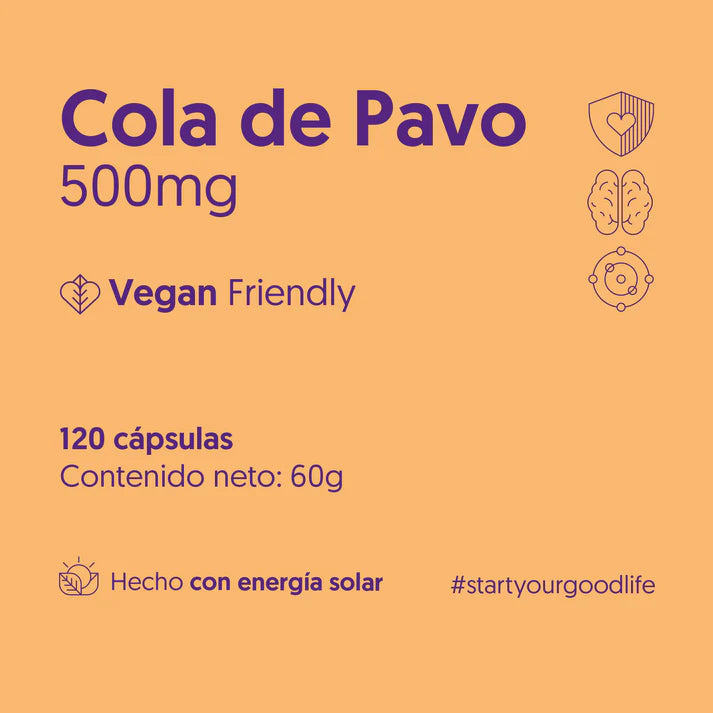 Hongo Cola de Pavo Biostream - 120 Cápsulas