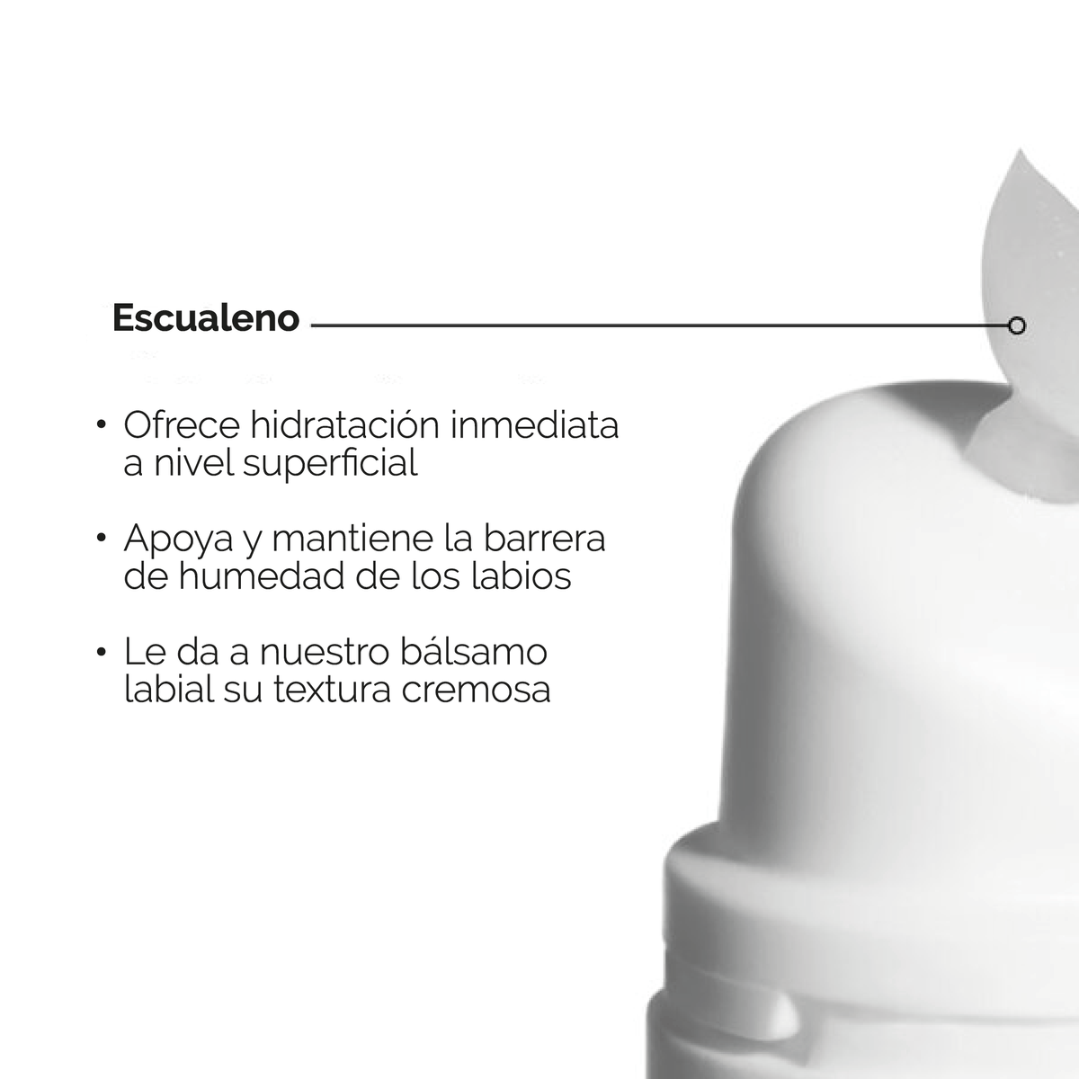 The Ordinary Balsamo Labial con Escualeno y Aminoacidos - 15 ml