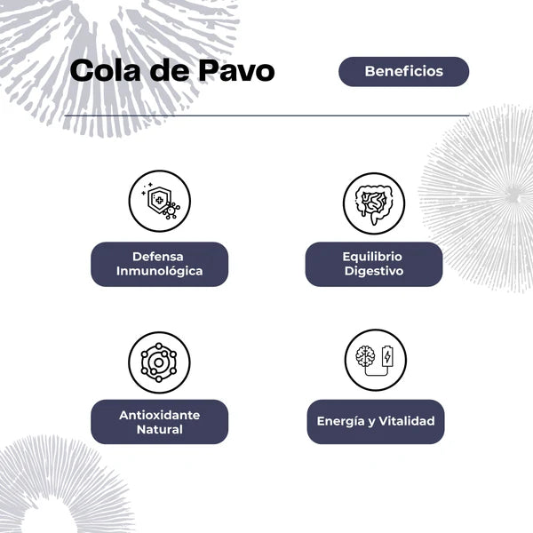 Extracto de Hongo Cola de Pavo - 30 mL