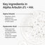 The Ordinary Serum Alfa Arbutin 2% + Acido Hialuronico - 60 ml