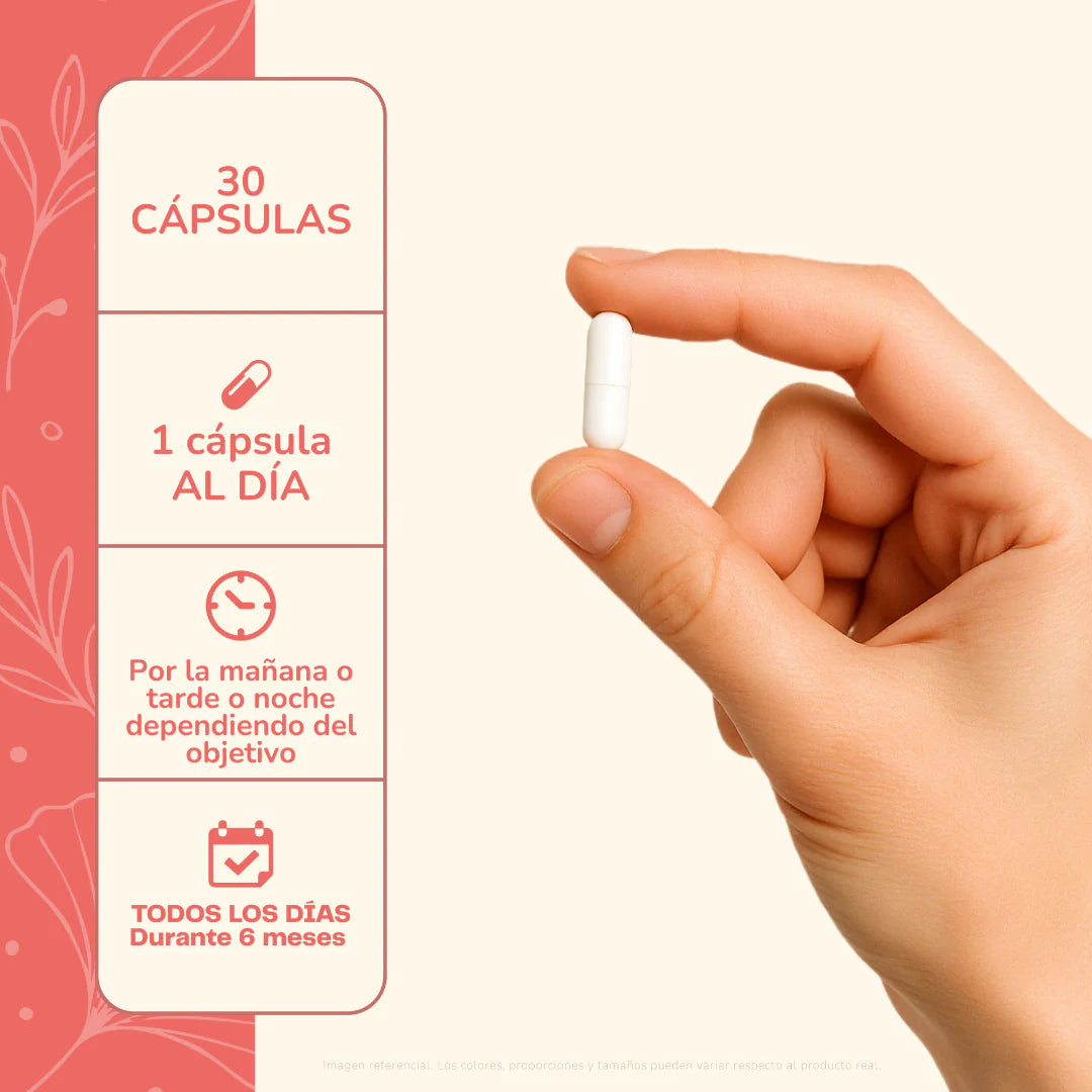 PyloriStop - 30 Cápsulas