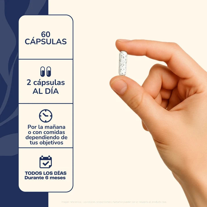 Antiox Plus - 60 Cápsulas