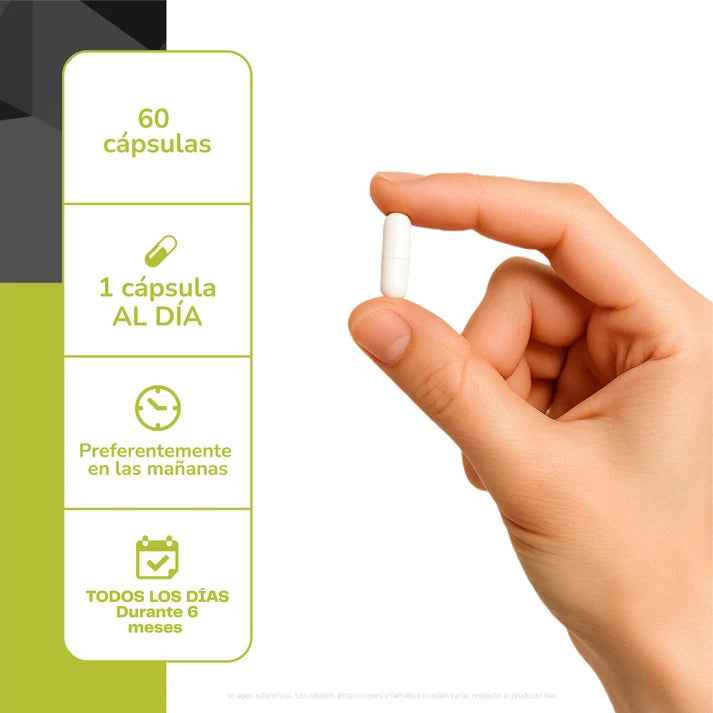 Arginina 500mg - 60 Cápsulas