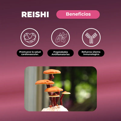 Hongo Reishi + Vitamina B12 - 60 Gomitas