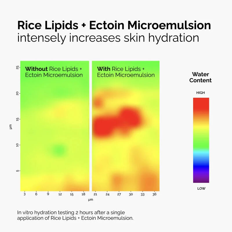 The Ordinary Serum con Lípidos de Arroz + Microemulsión de Ectoína - 60mL
